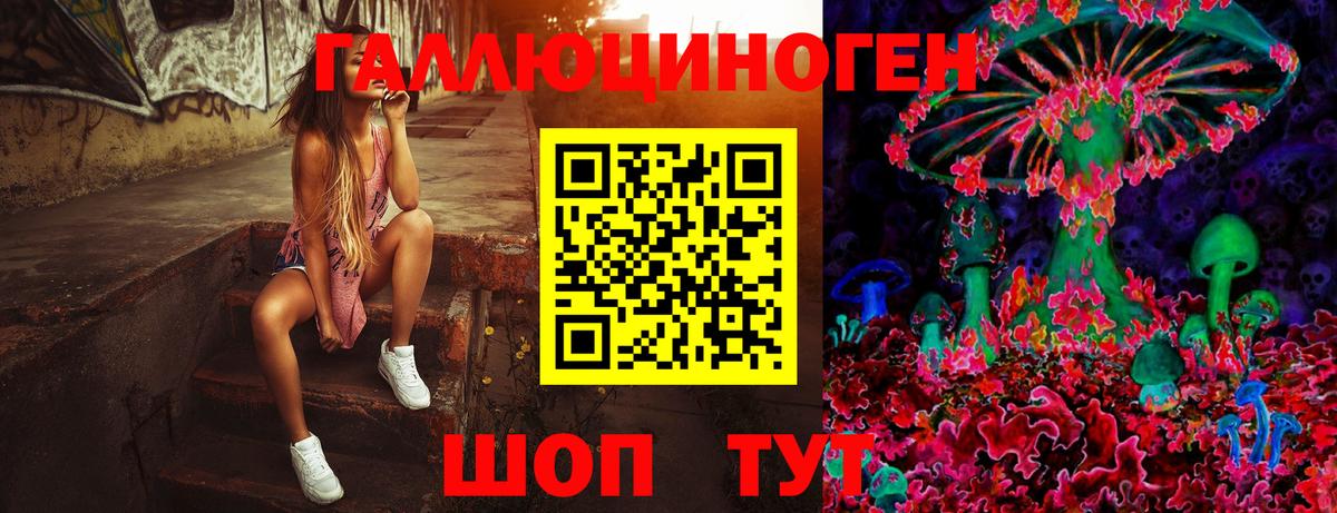 Псилоцибиновые грибы Cubensis Алушта