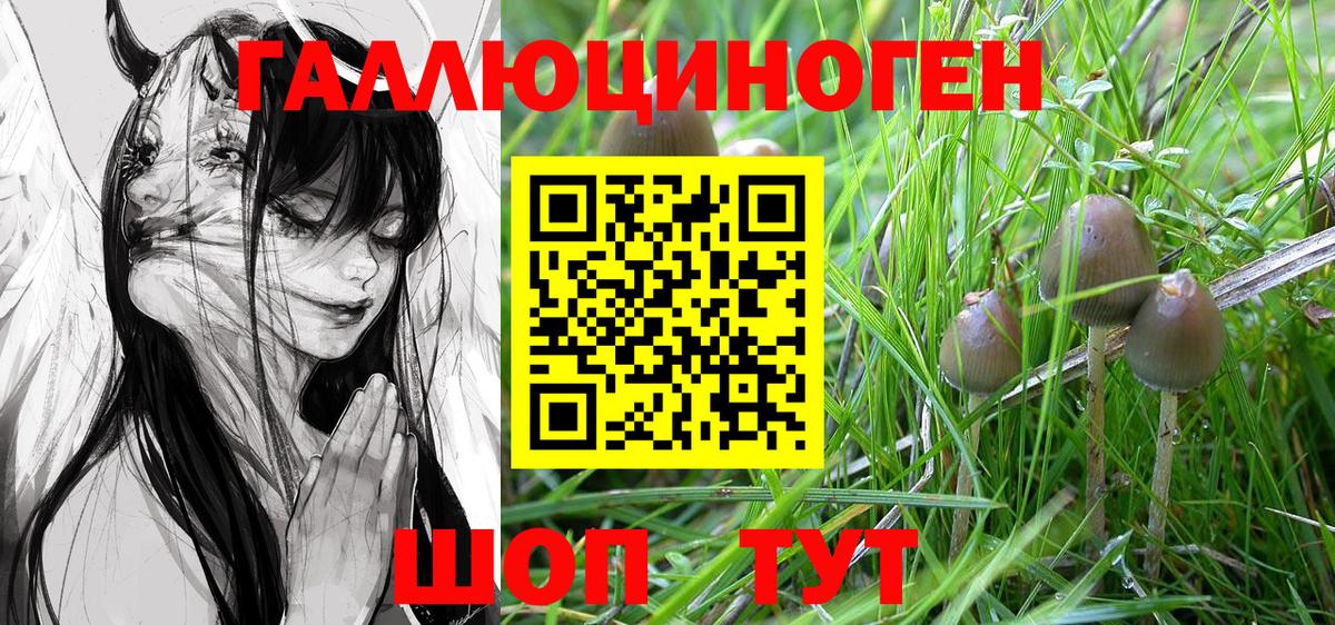 Алушта  Псилоцибиновые грибы Magic Shrooms  Галлюциногенные грибы Psilocybine cubensis  Вход с VPN 